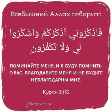 Чолпон Качкынбаева Profile Picture