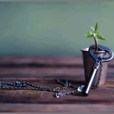 umu Hamudi Profile Picture