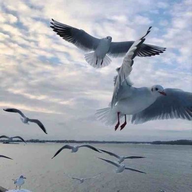 Рамазан Гасанов