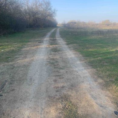 Адам Гойтуев Profile Picture