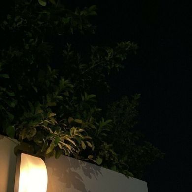 lxfpfc7 Profile Picture