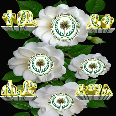 meki bintmehdi Profile Picture