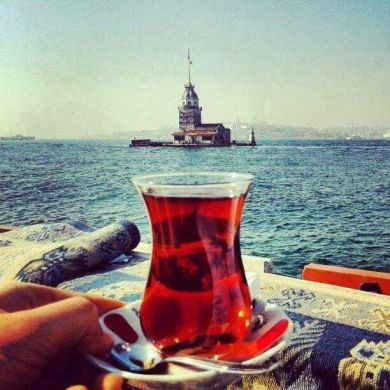 Aliy Aliy Profile Picture