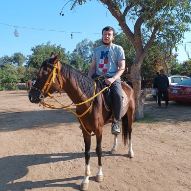 AbuammorAnas Profile Picture