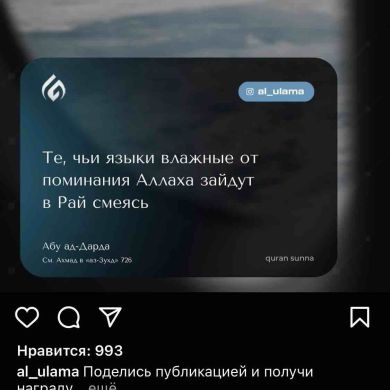 Zapir Gaziev Profile Picture