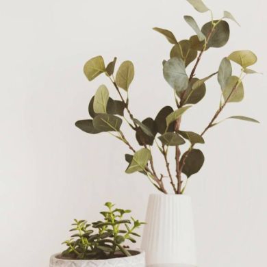 Сара Алиева Profile Picture