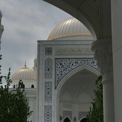 Dilnoza Yóldosheva Profile Picture