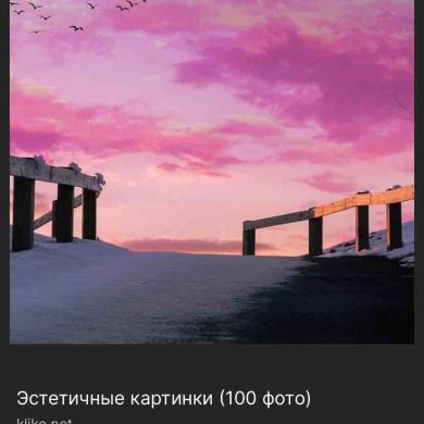 Zuri Gapisova Profile Picture