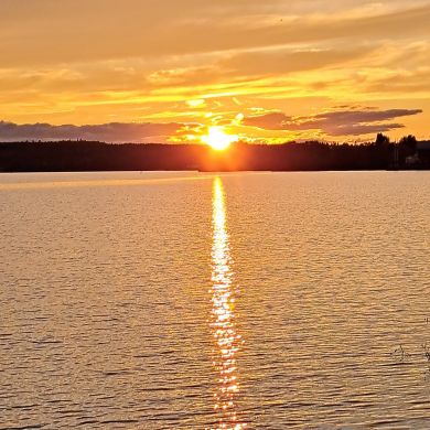 Vini ibn Puh All-day