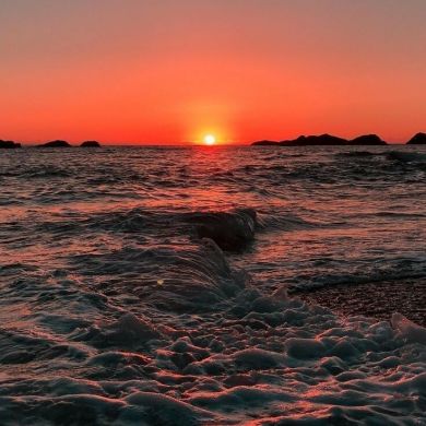 Ummu Asiya Profile Picture