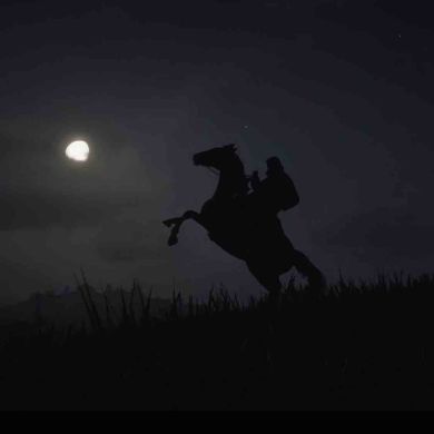 Khalid Kebedov Profile Picture