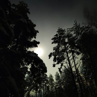 Sancho077 Profile Picture