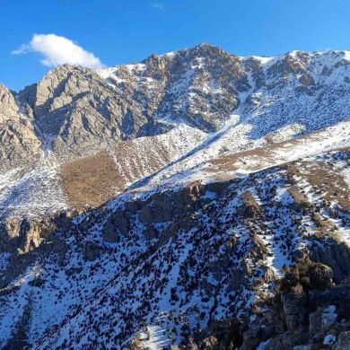 Абдулла МухаммадАминов