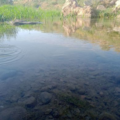 jamoliddin moydinov Profile Picture