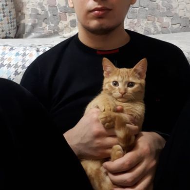 Mafruz O Profile Picture