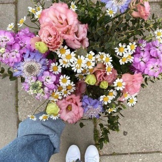 Telegram: Join Group Chat