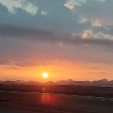 محمد مجاهد ويس Profile Picture