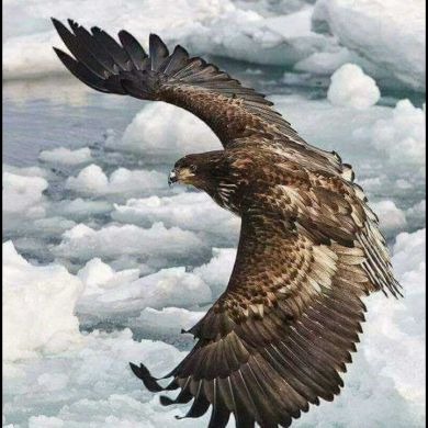 Максим уже Муслим Profile Picture