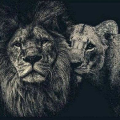 AbdlfetahGazi Profile Picture