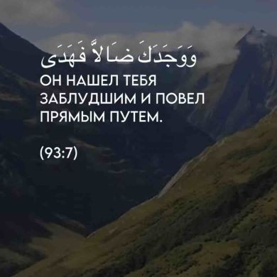 Джамиля Абдулмеджидова Profile Picture