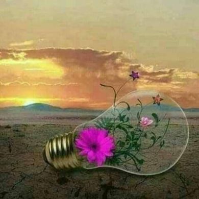 Hayat Ahmed Muhammed Profile Picture