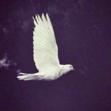 Mashhurbek Mustafo Profile Picture