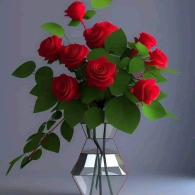 zehara ahmed Profile Picture