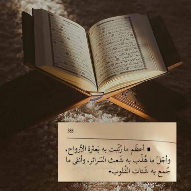 Meriem Mohammed Profile Picture