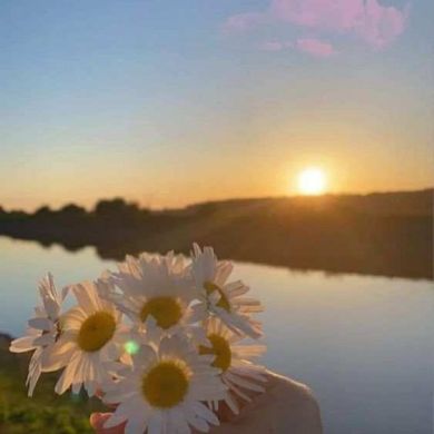 hilola odilova Profile Picture