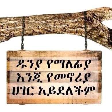 kamil yemer Profile Picture