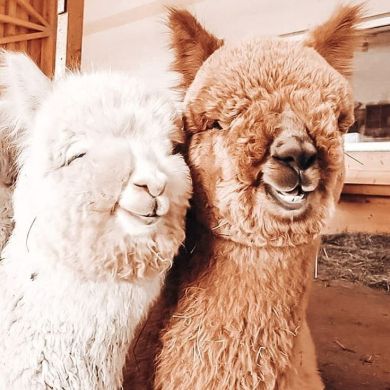 Mohinur Normatova Profile Picture