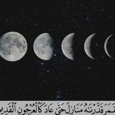 نسيبة نسيبتي