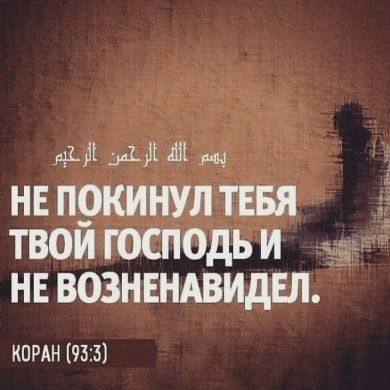 Александр Агеенко Profile Picture