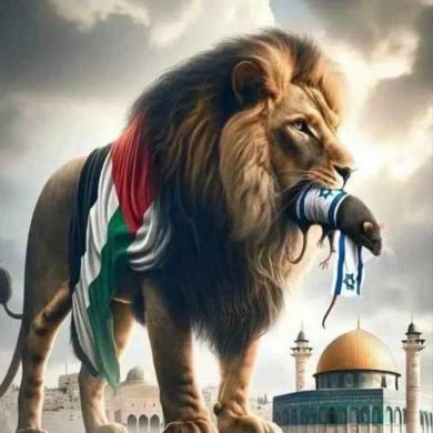 Sarvar Kamolov Profile Picture