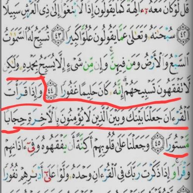 umma1702890539 Profile Picture