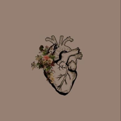 Tolibatul_ilm profile picture