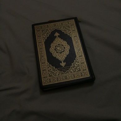 Shakhzoda Saidmurodova Profile Picture