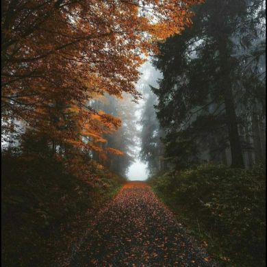 أبو عبد الحميد Profile Picture