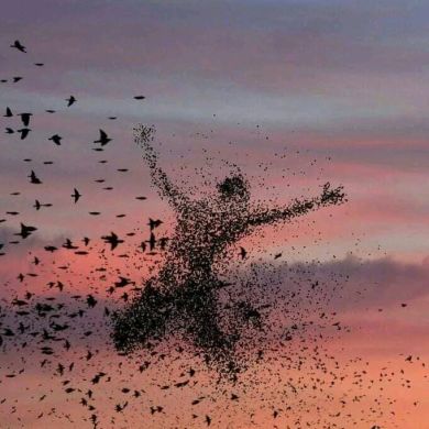 oussama rat Profile Picture