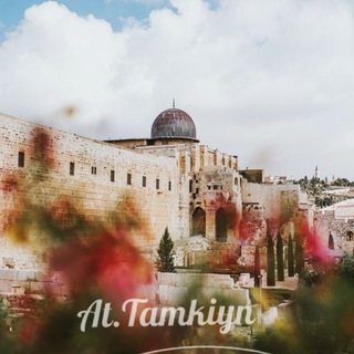 Telegram: Contact @tamkiynuz1