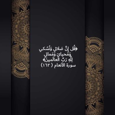 NamariqMohammed Profile Picture