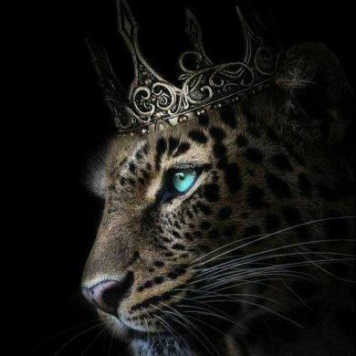 Aishat Demir Profile Picture