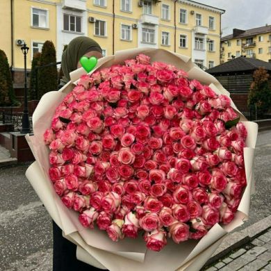 aminemmm Profile Picture