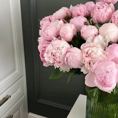 Di Arabova Profile Picture