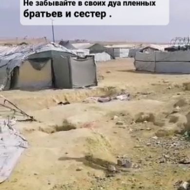 V ne voli Al Holl Profile Picture