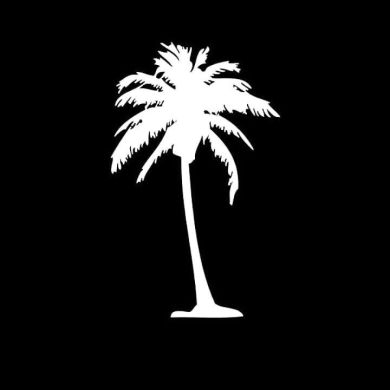 umar0505 Profile Picture