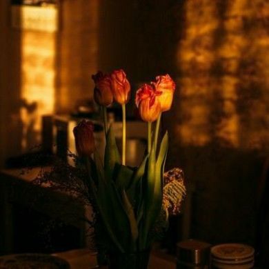 Bibisora Muhammadova Profile Picture