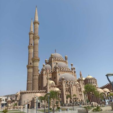 حديث ابن Profile Picture