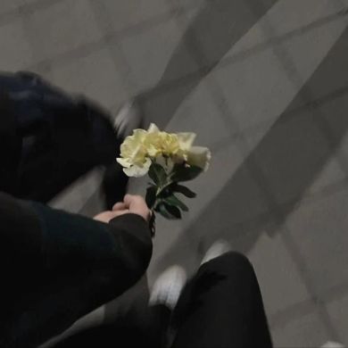 Šhîšh ʚĩɞ Tâjâñ