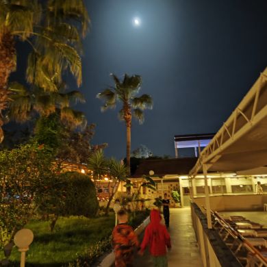 مالينا مجيد Profile Picture